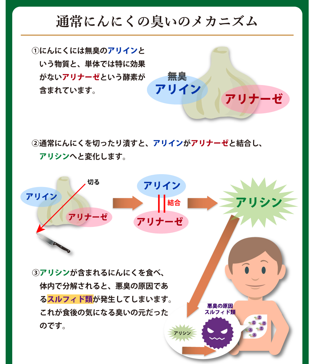 エチケットにんにく12